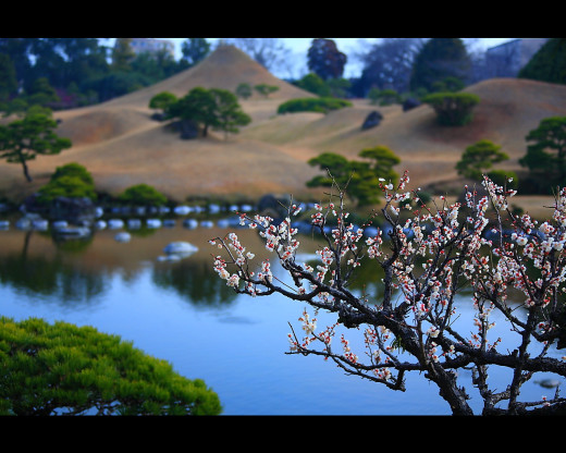46195 (a): :1280x1024